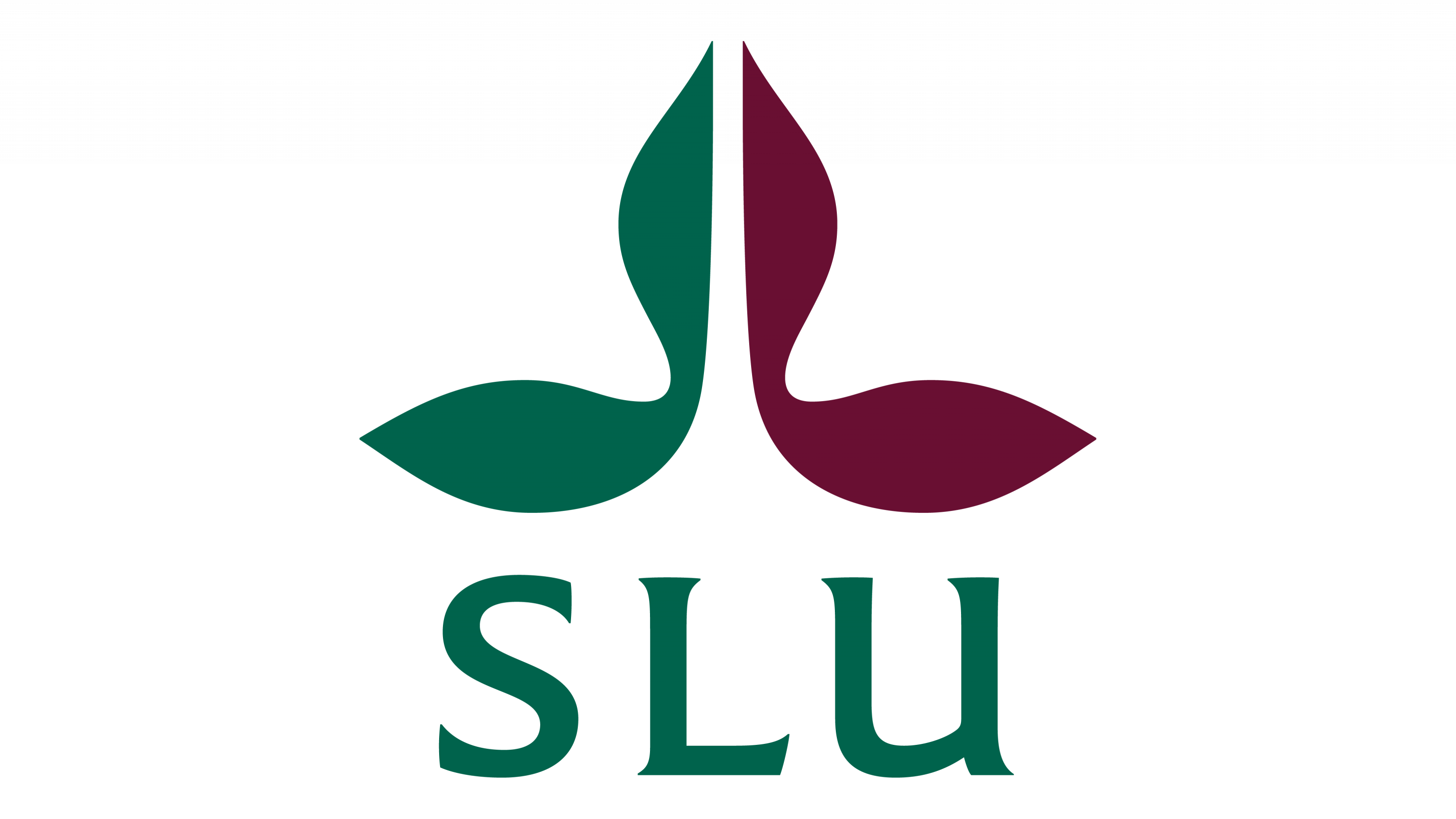 SLU